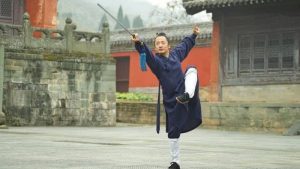 Wudang Kung Fu Master